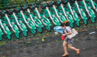 狂风暴雨是什么季节 狂风暴雨什么季节