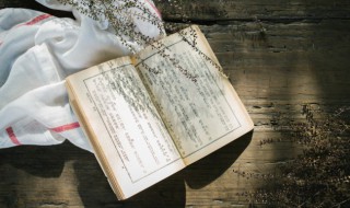 拂堤杨柳醉春烟什么意思 拂堤杨柳醉春烟的原文是什么