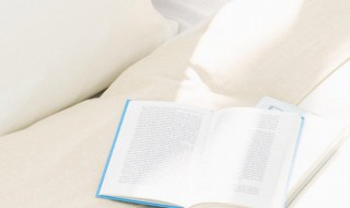 自传体小说是什么意思 自传体小说解释