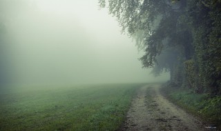 朦胧的美是什么意思 朦胧的美解释