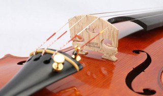 梵阿玲是什么意思 梵阿玲的含义