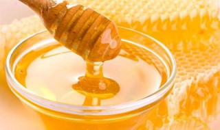 蜂蜜怎样储存好 蜂蜜储存方法介绍