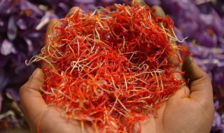 怎样储存藏红花 储存藏红花的做法