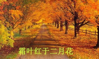 山行中霜叶是什么意思 山行原文及翻译