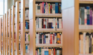 上下结构的字有哪些字 上下结构的字介绍