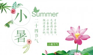 24节气小暑怎么背 24节气小暑怎么背好一点