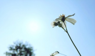 微风不燥是什么意思 微风不燥的解释