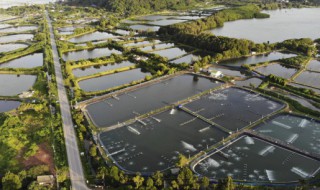 人工鱼塘怎么做防水 人工鱼塘如何做防水