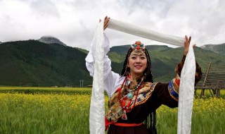 关于藏族的资料 藏族简介及习俗