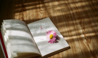 别介是什么意思 别介的意思