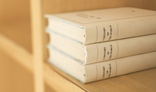 树荫的意思 树荫的解释