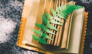 苟延残喘的苟什么意思 苟延残喘的释义