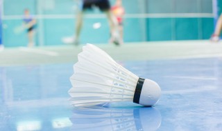 羽毛球四大天王 羽毛球四大天王分别是谁