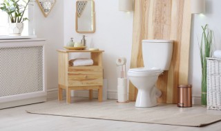 洁厕液如何使用 洁厕液怎么使用