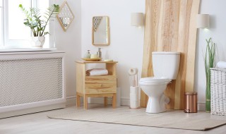 洁厕剂的使用方法及注意事项 介绍洁厕剂的使用方法及注意事项