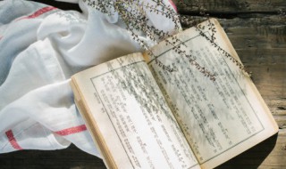 休养的意思 休养的解释