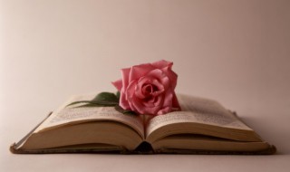 美滋滋的意思 美滋滋是什么意思