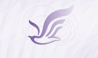 小海鸥是什么牌子 小海鸥是指什么牌子