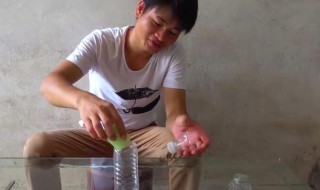 家里有苍蝇怎么消除 家里有苍蝇如何消除