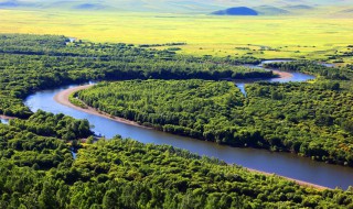 额尔古纳湿地景区介绍 额尔古纳湿地在哪里