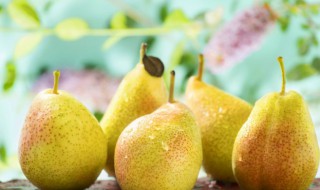 梨子怎样储存才能放久 如何保存梨子