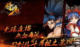 侍魂人物介绍 侍魂游戏简介