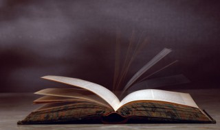 率性是什么意思 率性出处