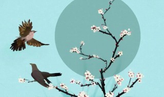 月夜忆舍弟的意思 月夜忆舍弟原文