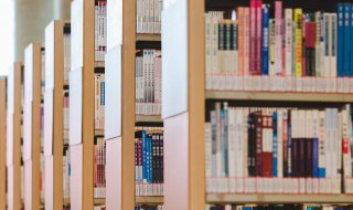 初爱不生花什么意思 初爱不生花的意识是什么