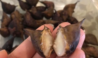 菱角是什么意思 菱角简单介绍