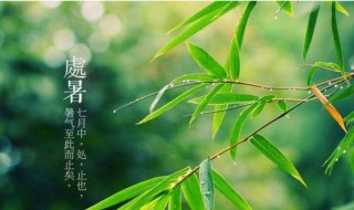 处暑时间代表的意思 处暑是什么