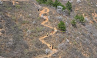 羊肠小道什么意思 羊肠小道简单释义