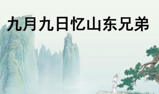 九月九日忆山东兄弟的诗意 九月九日忆山东兄弟全文