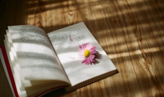 神情是什么意思 神情的意思