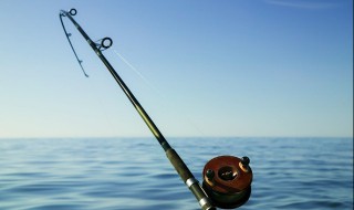 处暑怎么钓鱼 处暑如何钓鱼