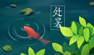 处暑的上一个节气是什么 二十四节气简介