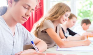 来猫去狗越过越有什么意思 俗语来猫去狗越过越有什么意思