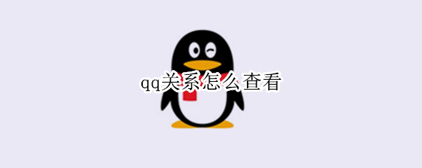 qq关系怎么查看（qq关系怎么查看天数）