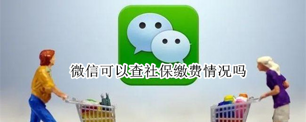 微信可以查社保缴费情况吗（微信可以查询社保缴费情况吗）