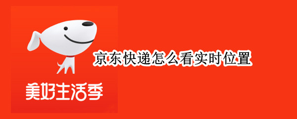 京东快递怎么看实时位置（京东怎么查快递的实时位置）