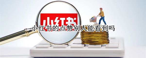 小红书的点赞别人能看到吗 小红书点赞过别人能看到吗