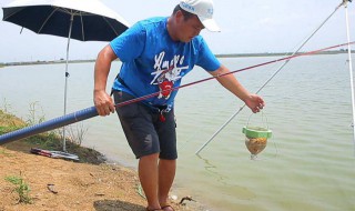谷钓怎样选位 谷钓选位方法