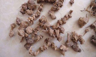 乳腺结节钙化4a吃参七乳泰片有用吗 快来了解一下