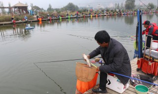 黑坑钓草鱼饵料配方 简单有效的钓草鱼饵料配方