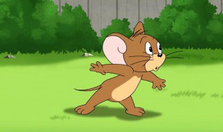 1960年鼠男晚年如何 就问你服不服