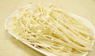 豆芽金针菇加火锅底料怎么做好吃 舌尖的火锅