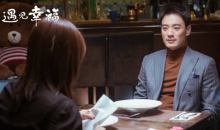 遇见幸福一共多少集 该电视剧的剧情简介