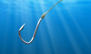 野钓用什么鱼钩好 分三种情况选择鱼钩