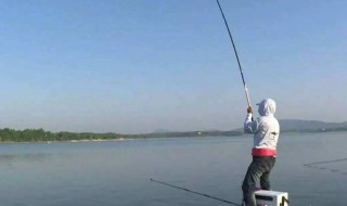 刺鱼手法 刺鱼扬竿姿势