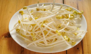 梦见豆芽是什么意思 有什么征兆吗